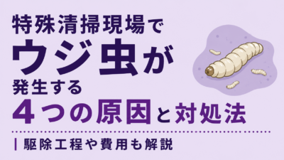 特殊清掃現場でウジ虫が発生する4つの原因と対処法|駆除工程や費用も解説