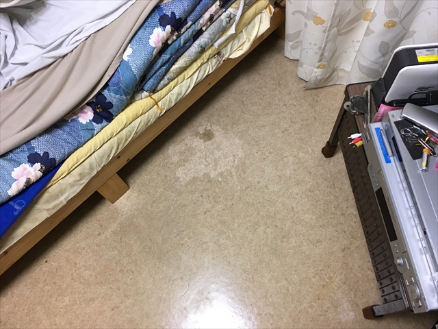 マンションの一室 床へ吐血してしまったお部屋の特殊清掃の事例-作業後画像
