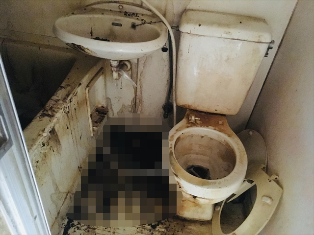 浴槽・浴室　ユニットバスの特殊清掃の事例-作業前画像