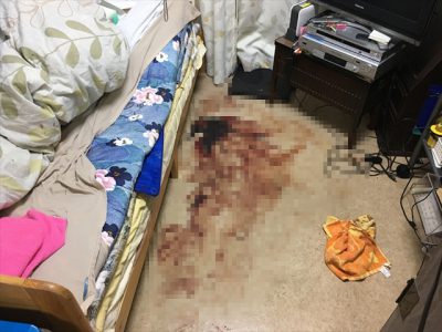 マンションの一室 床へ吐血してしまったお部屋の特殊清掃の事例-作業前画像