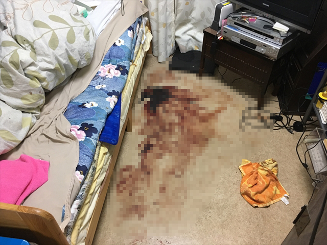 マンションの一室 床へ吐血してしまったお部屋の特殊清掃の事例-作業前画像