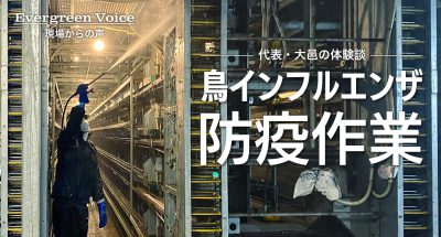 千葉県での高病原性鳥インフルエンザ発生箇所の防疫作業  ~代表・大邑の体験談~