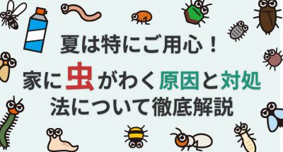 夏は特にご用心!家に虫がわく原因と対処法について徹底解説