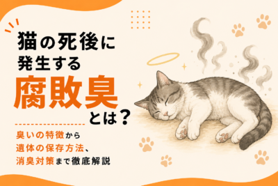 猫の死後に発生する腐敗臭とは?臭いの特徴から遺体の保存方法、消臭対策まで徹底解説