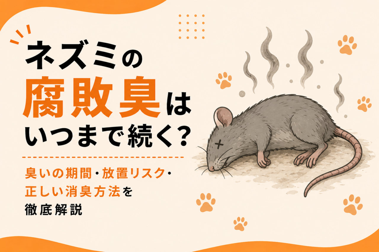 ネズミの腐敗臭はいつまで続く？臭いの期間・放置リスク・正しい消臭方法を徹底解説